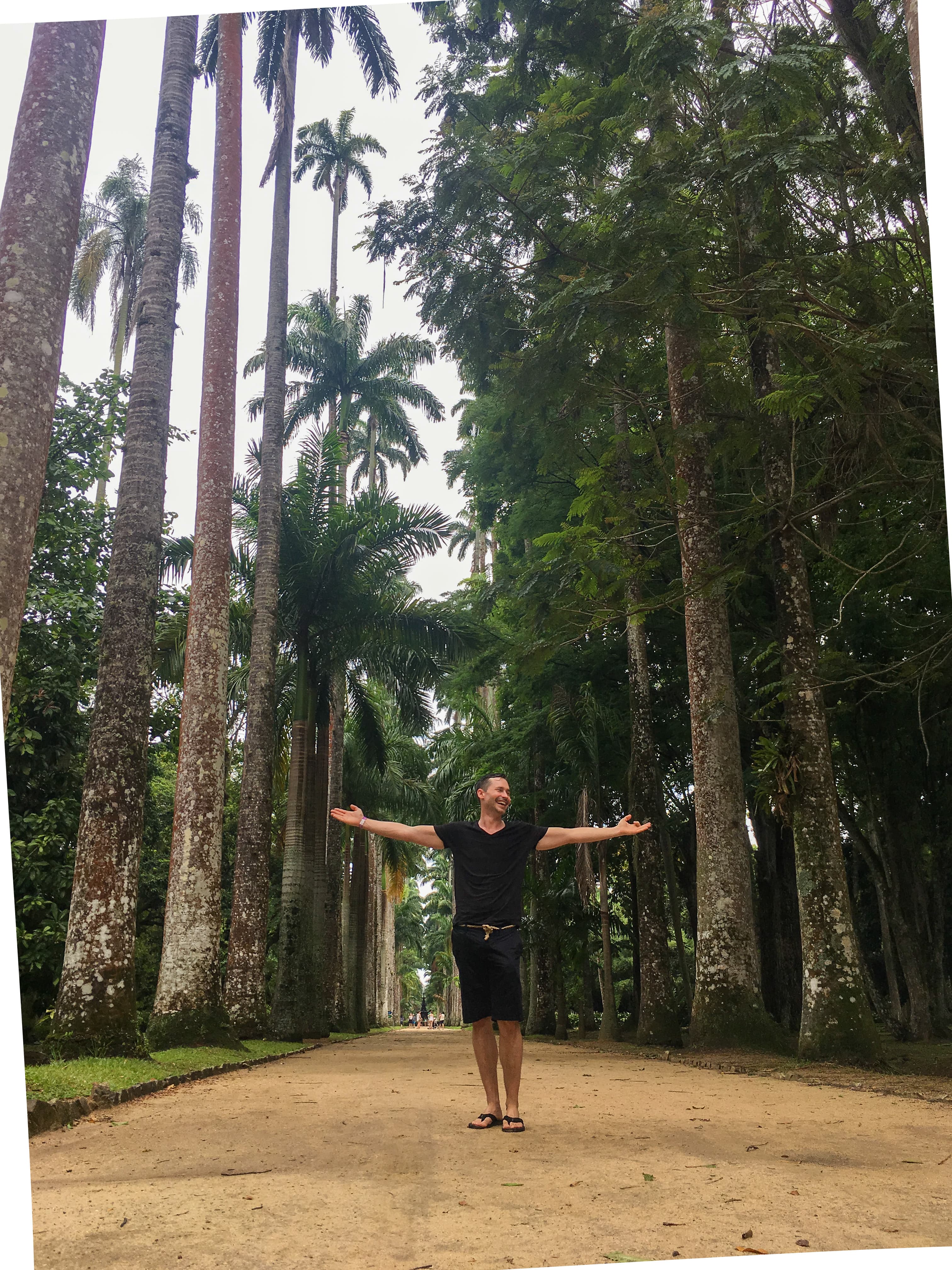 Palm Avenue at Jardim Botânico Rio de Janeiro